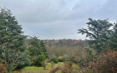 Terrain de 1600m²