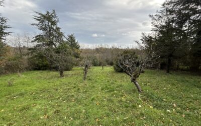 Terrain de 1600m²