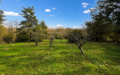 Terrain de 1631m²