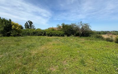 Terrain de 1200m²