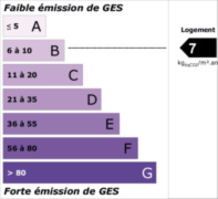 Sans titre