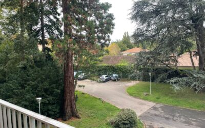 Appartement 2 pièce de 56m²