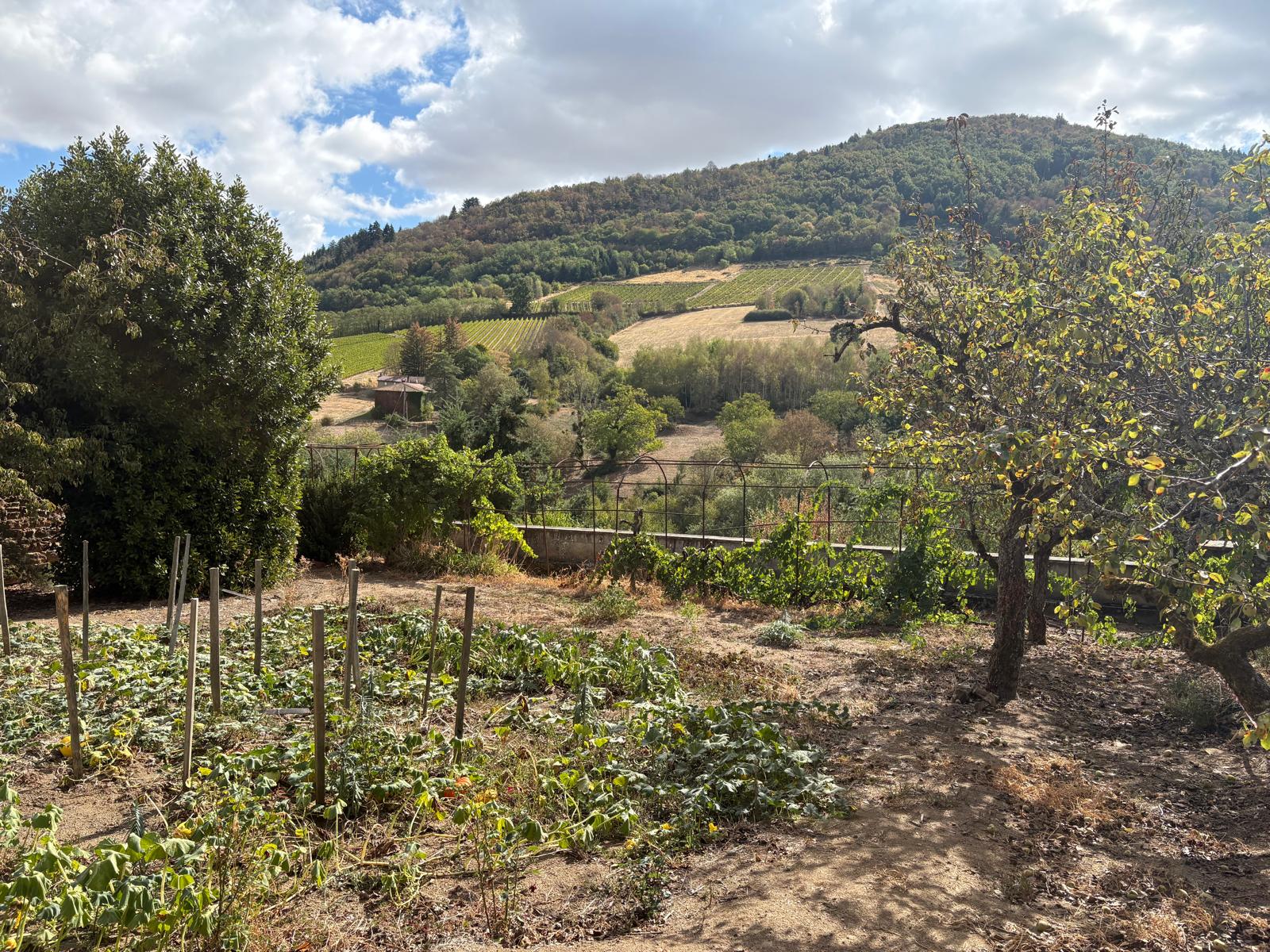 Winery Farm Tour